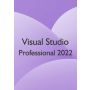 Visual Studio Pro 22 - 1 PC