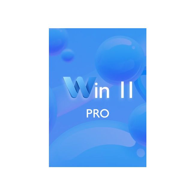 Win 11 Pro - 1 PC