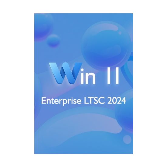 Win 11 Enterprise LTSC 2024 (1 PC)